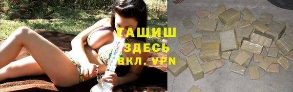 индика Богородск