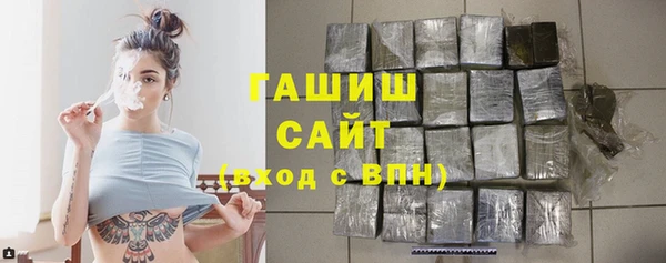 индика Богородск