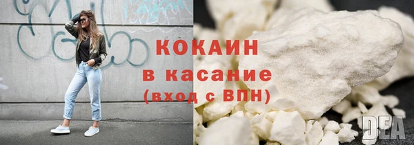 индика Богородск