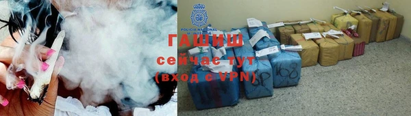 индика Богородск
