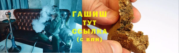 индика Богородск