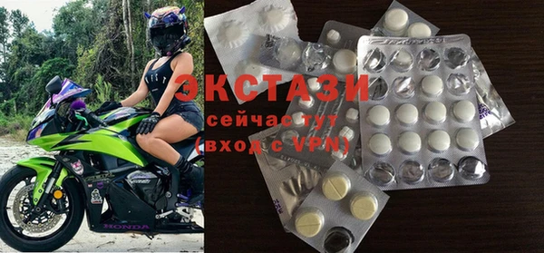 индика Богородск