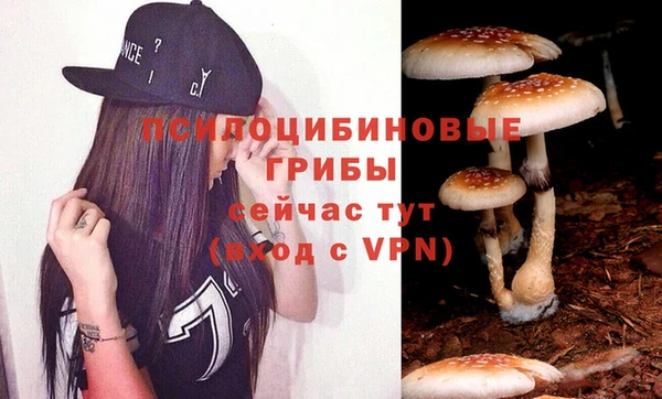 ALPHA-PVP Богородицк