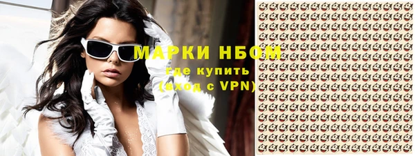 индика Богородск