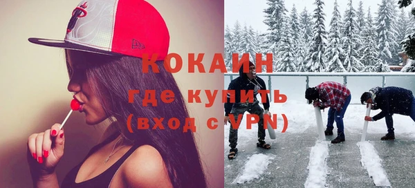 индика Богородск