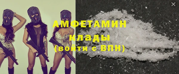 индика Богородск