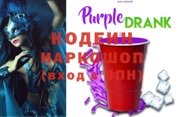 индика Богородск