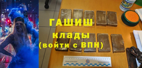 индика Богородск